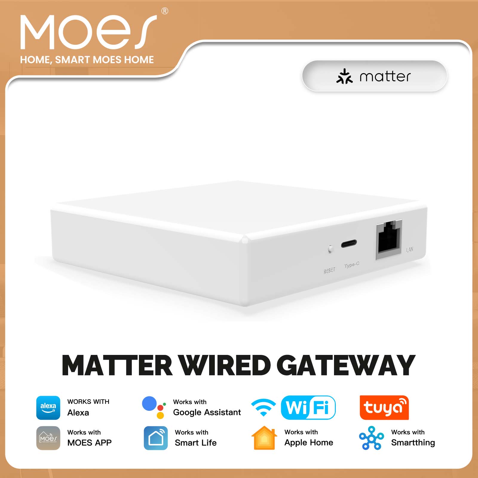 MOES Tuya ZigBee Matter Thread - Diy Home Electronics ulasan dan harga